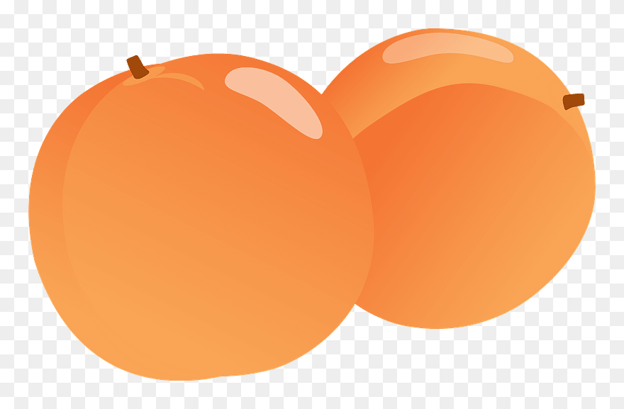 Armenian Plum Or Ansu Apricot Clipart - Heart - Png Download