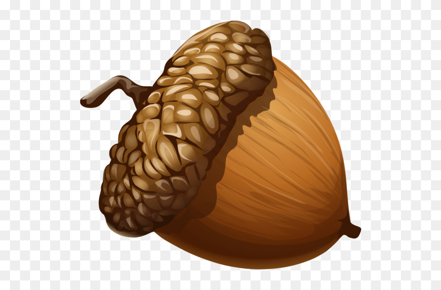 Clipart Of An Acorn - Acorn Clipart - Png Download