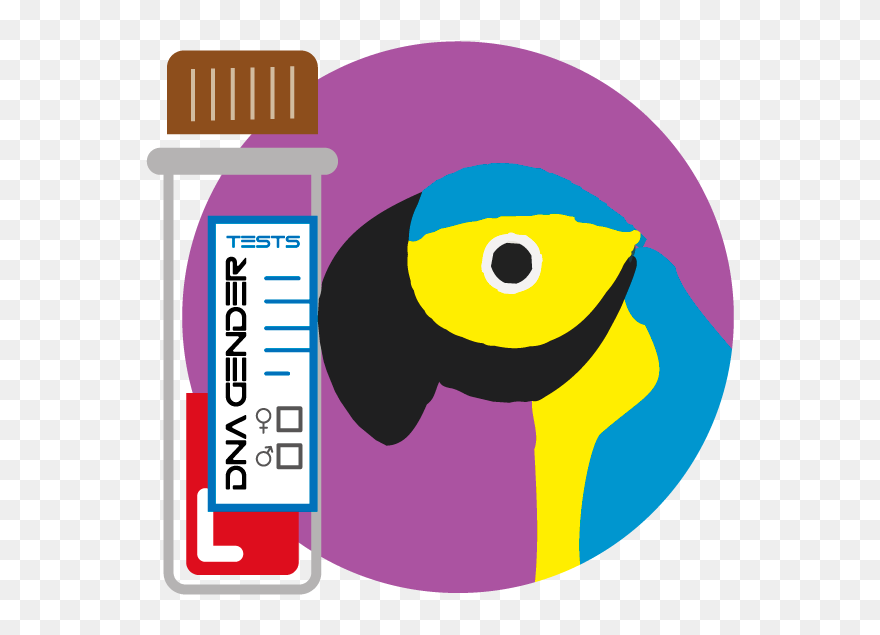 Transparent Collect Clipart - Png Download