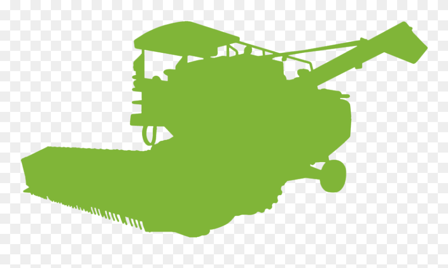 Illustration Clipart