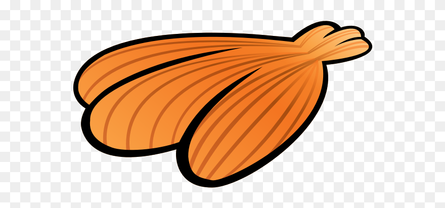 Image Of Summer Orange Sea Shell - Sea Shell Cartoon Clipart