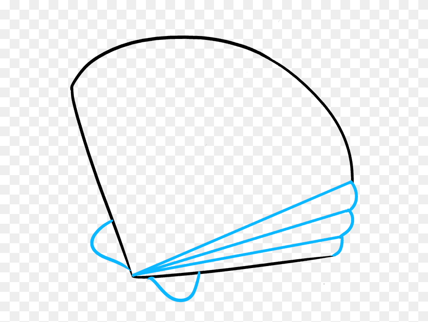 How To Draw Seashell Clipart