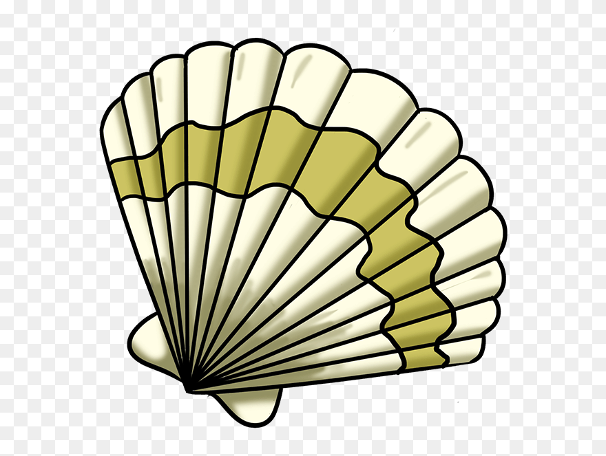 How To Draw Seashell - Easy Simple Shell Drawing Clipart