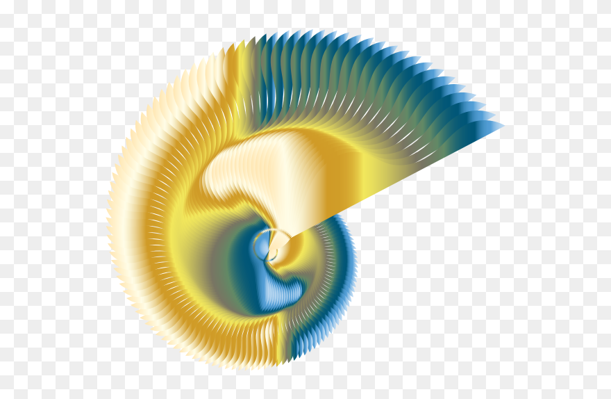 Colorful Nautilus Line Art - Line Art Clipart