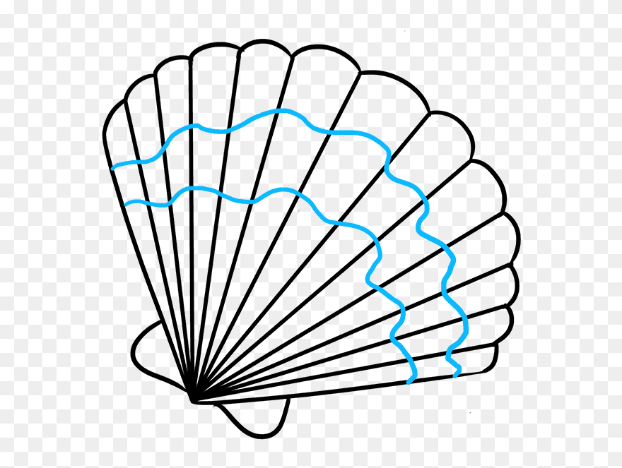How To Draw Seashell - Easy Drawings Of Seashells Clipart