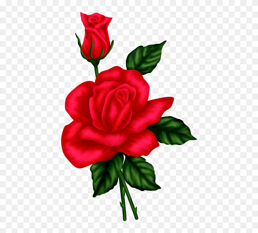 Flores Azules Para Sublimar Clipart