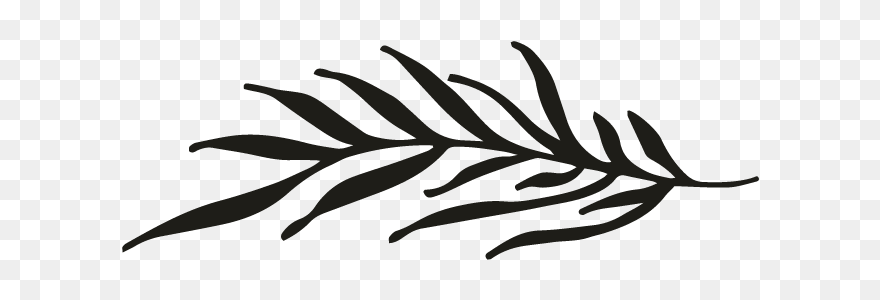 Clip Art - Png Download