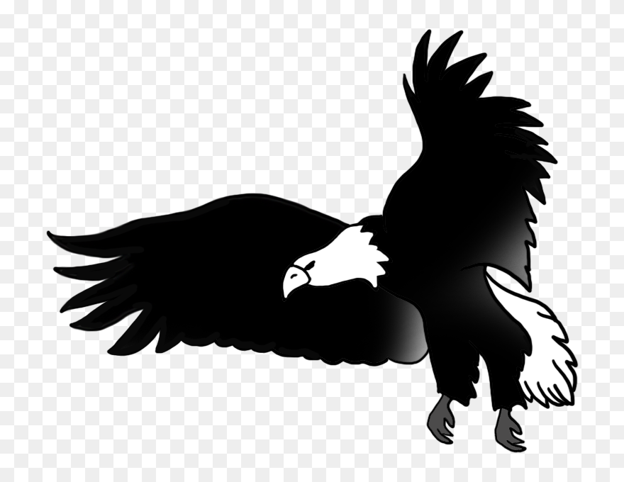 Eagle On Basketball Clipart Picture Library Download - Eagle Black And White Drawing - Png Download
