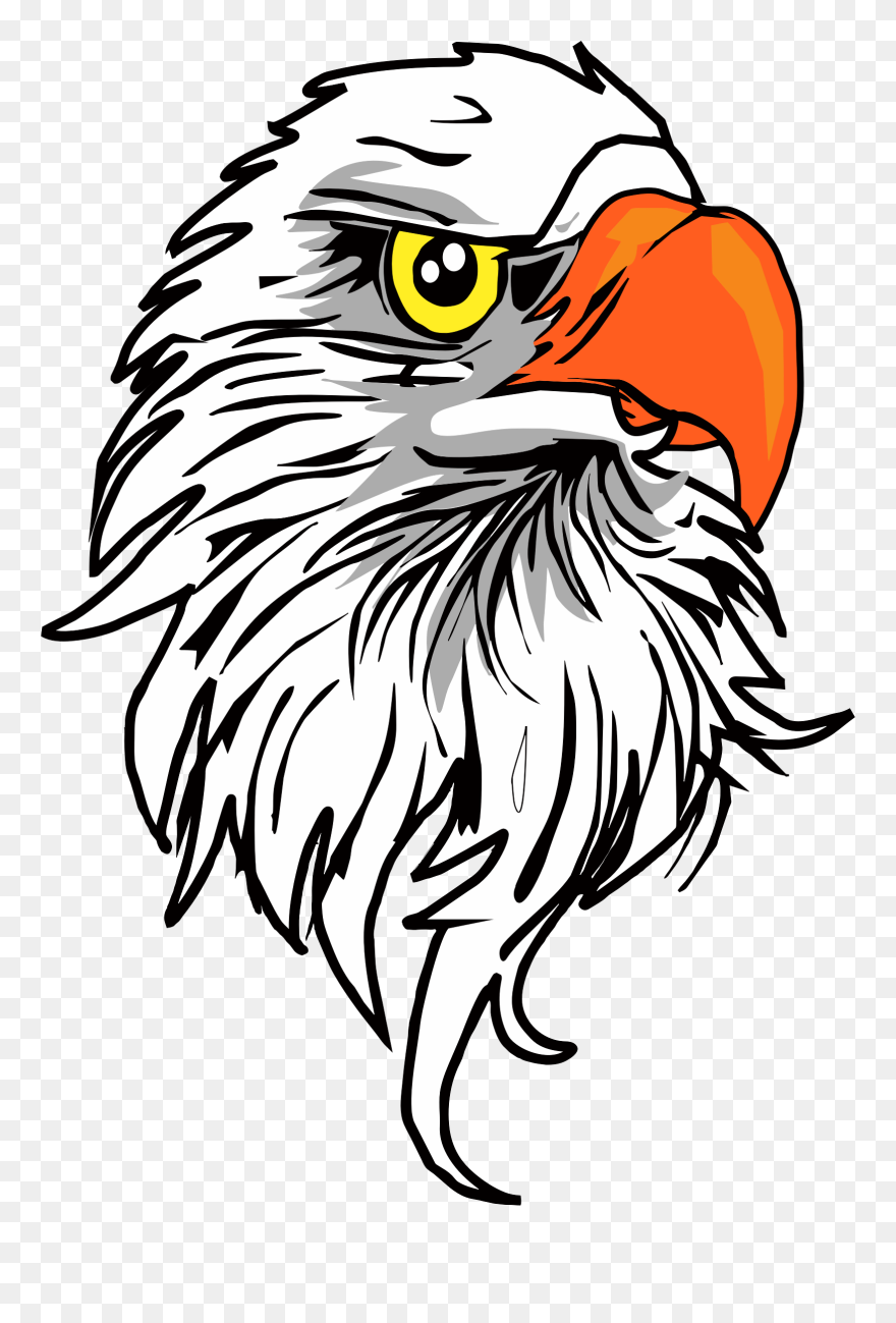 Bald Eagle Clipart Eagle Eye - Eagle Head Vector Free - Png Download