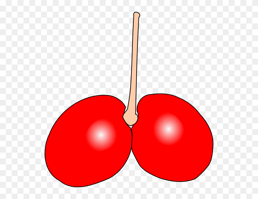 Free Vector Cherry Double Clip Art - Clip Art - Png Download