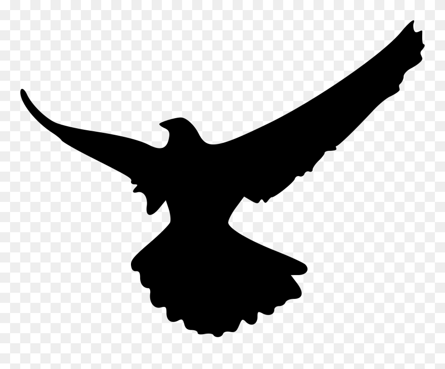 Collection Of Free Duck Vector Landing Download On - Shadow Of An Eagle Clipart