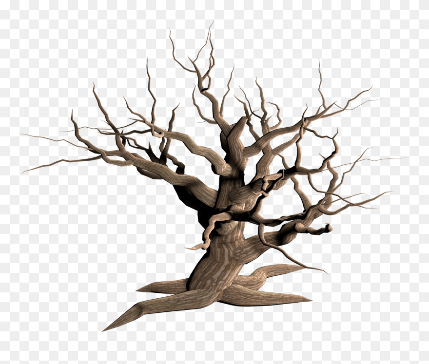 Jpg Transparent Download Snag Clip Art Transprent Png - Dead Tree No Background