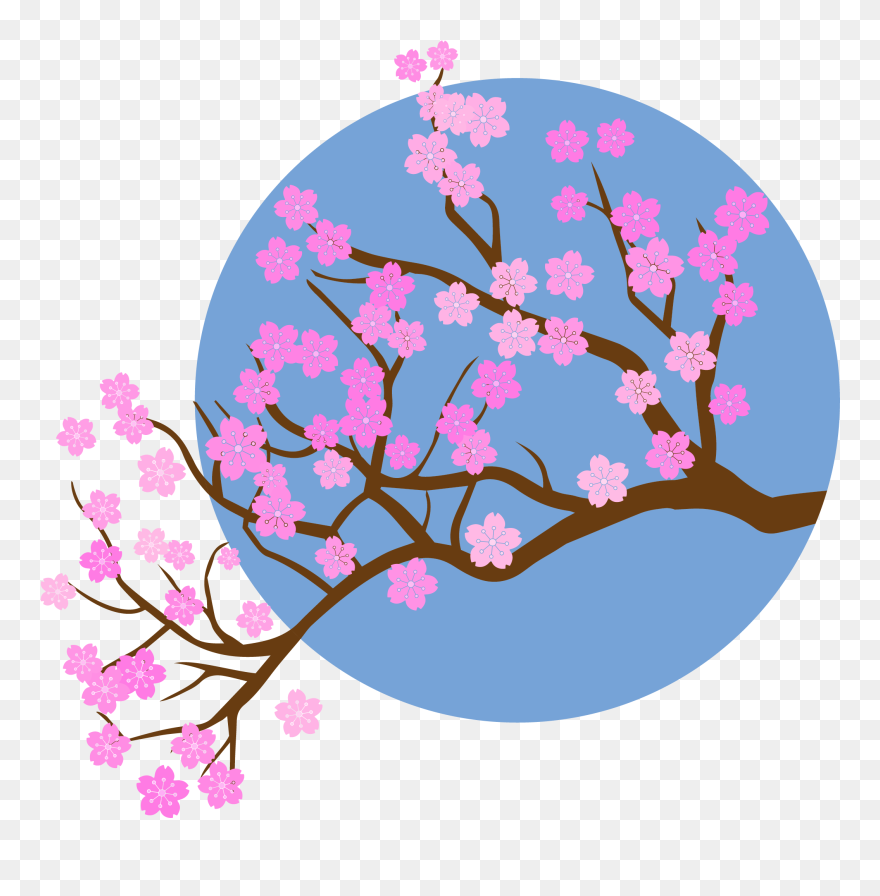 Cherry Blossom Clipart