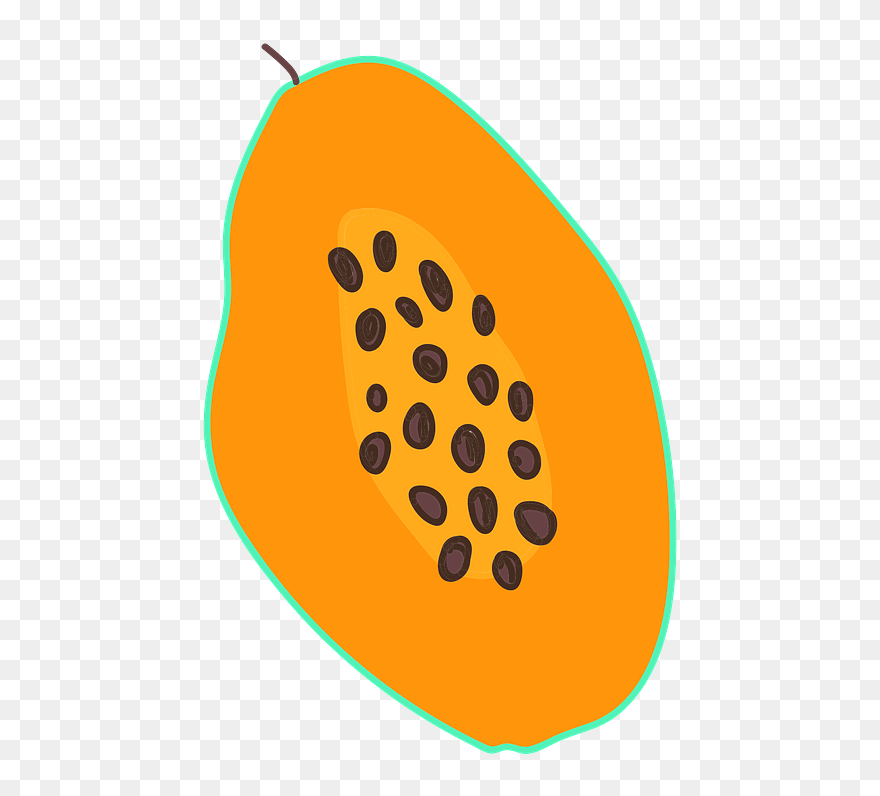 Papaya Clipart - Circle - Png Download