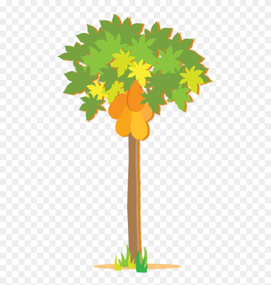 Papaya Tree Clip Art - Png Download