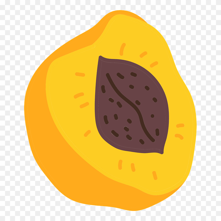 Apricot Clipart - Illustration - Png Download