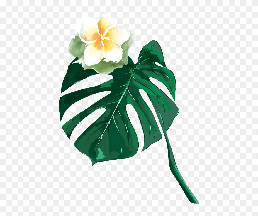 Almofada Avulsa Decorativa Clipart