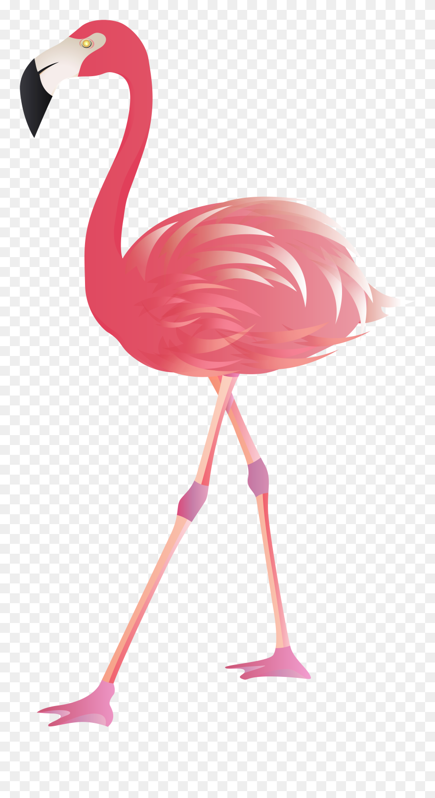 Transparent Inner Tube Clipart - Transparent Background Flamingo Clipart - Png Download