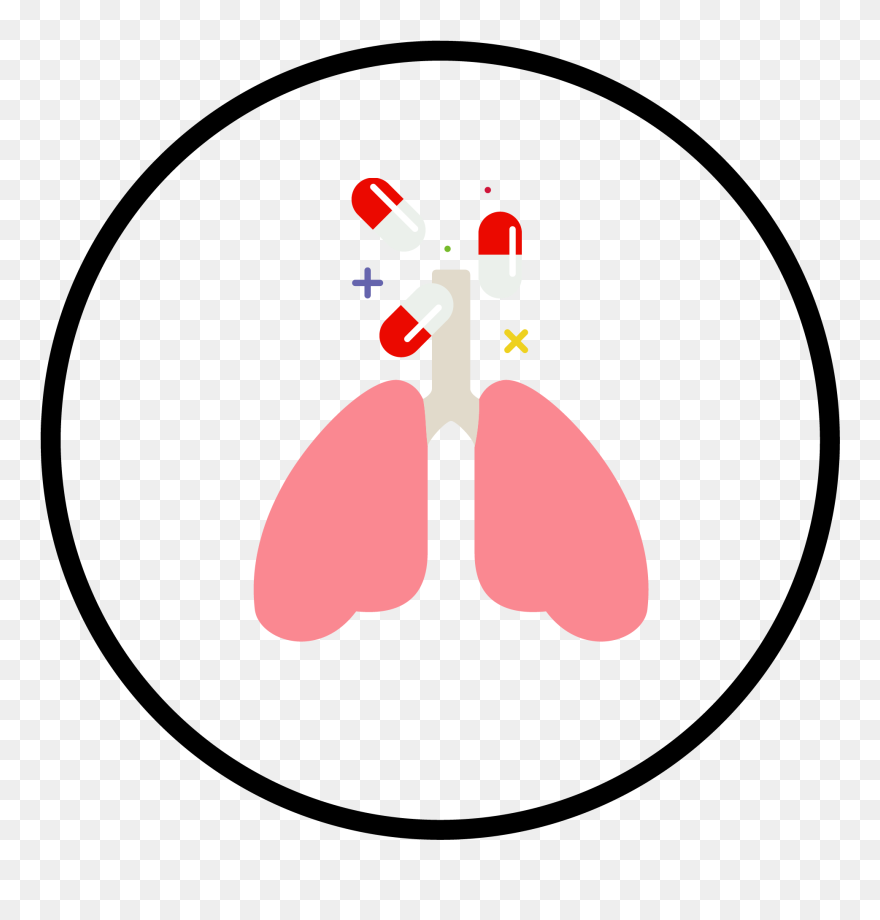 Clip Art - Png Download