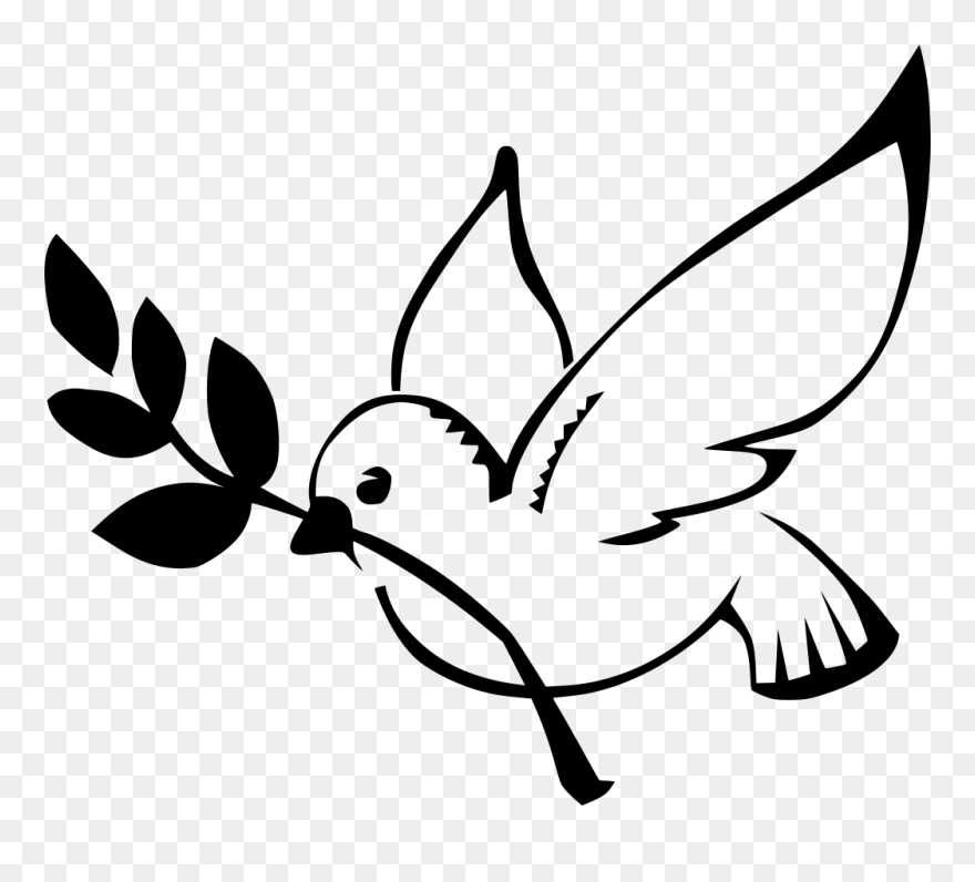 Pigeon Clipart Png , Png Download - Transparent Dove With Olive Branch