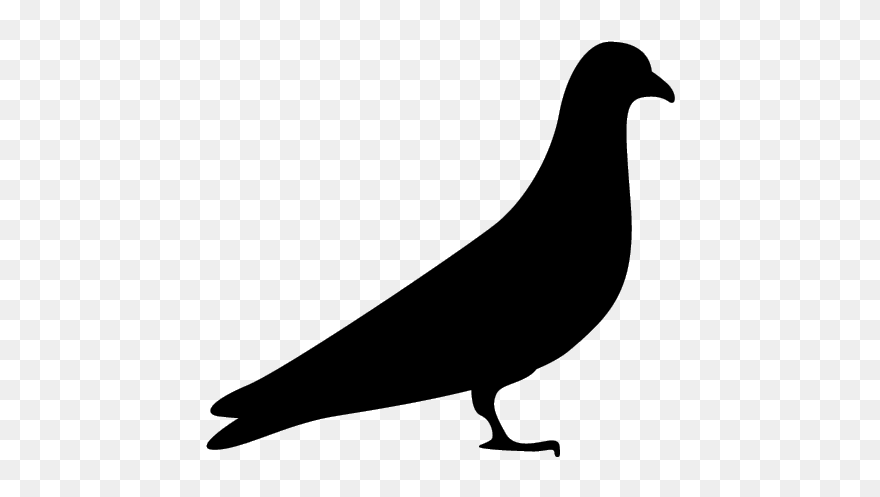 Uttarakhand Birds Pigeon - Illustration Clipart