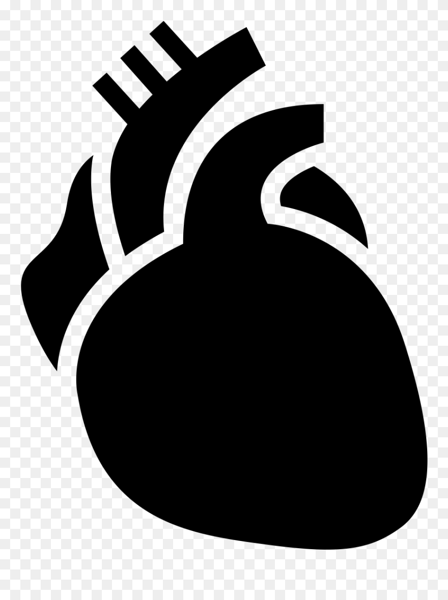 Anatomical Heart Icon Clipart