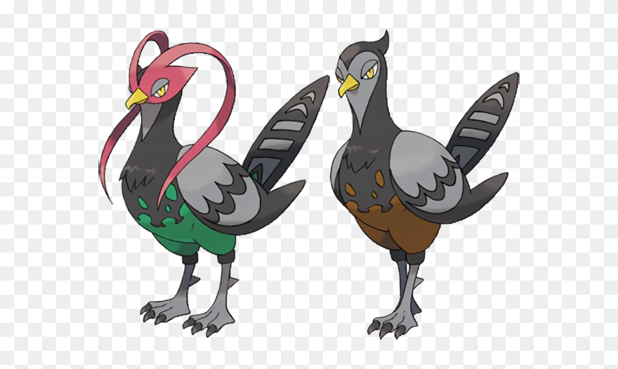 Unfezant Male And Female Clipart