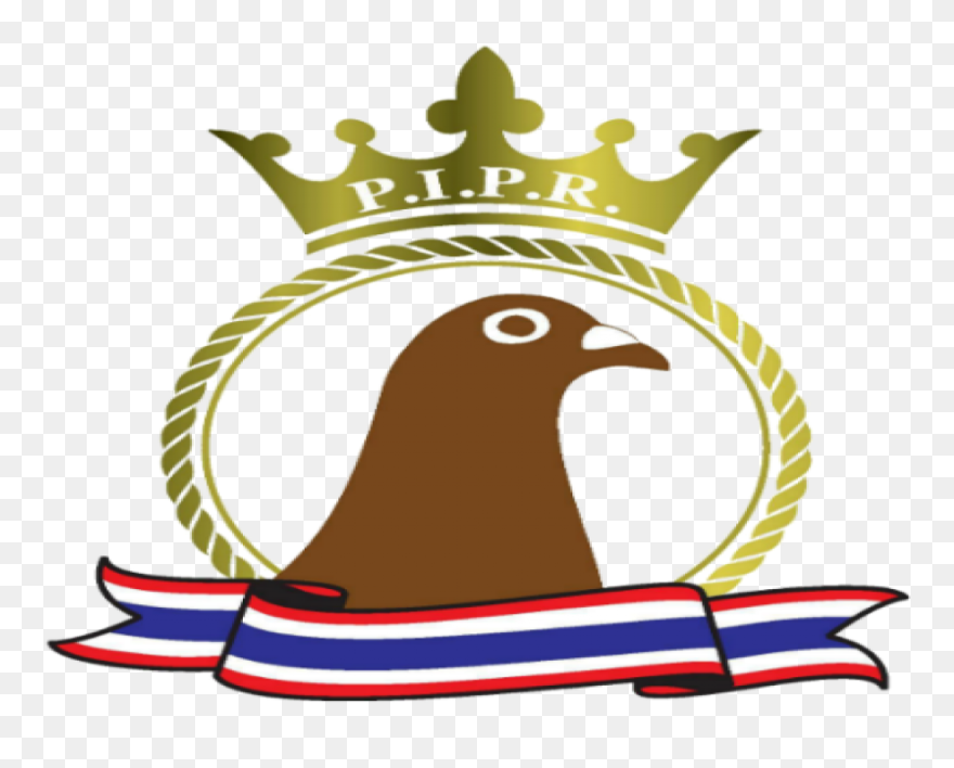 Pattaya International Pigeon Race Clipart
