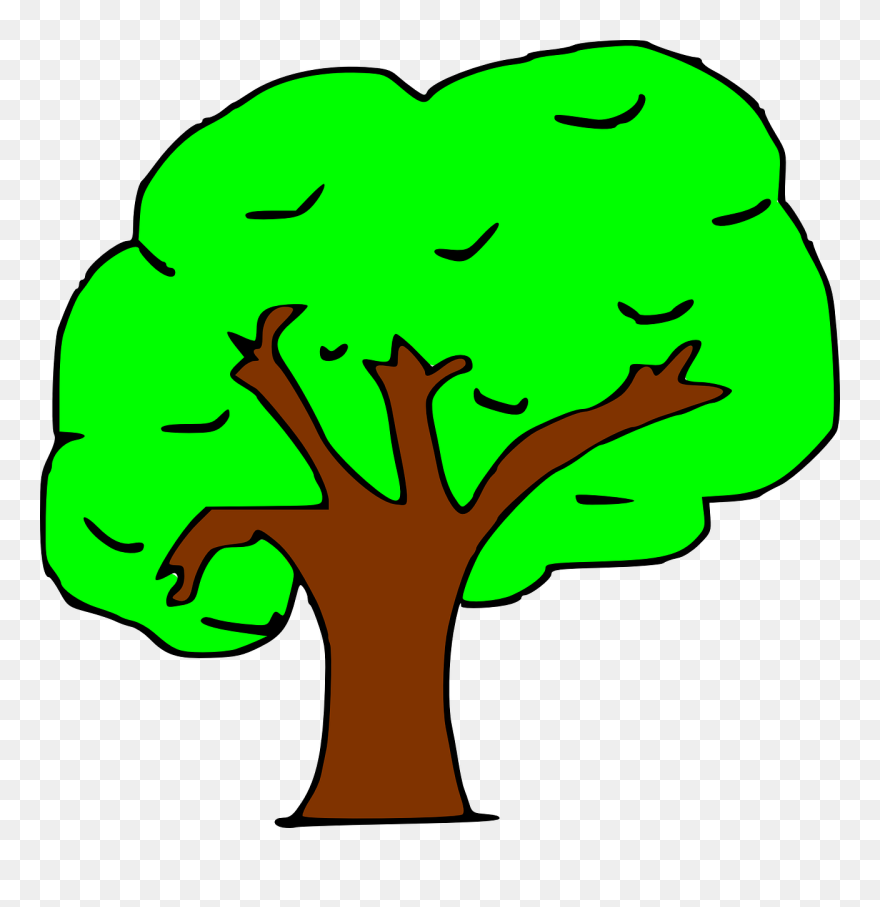 Arbol Clip Art - Png Download