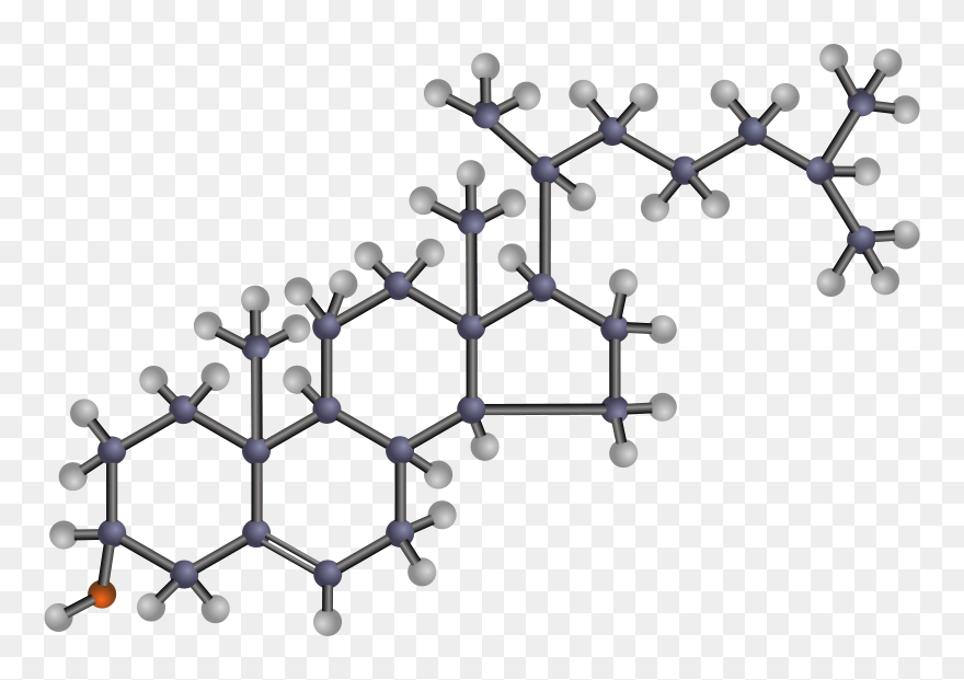 Cholesterols Png Clipart