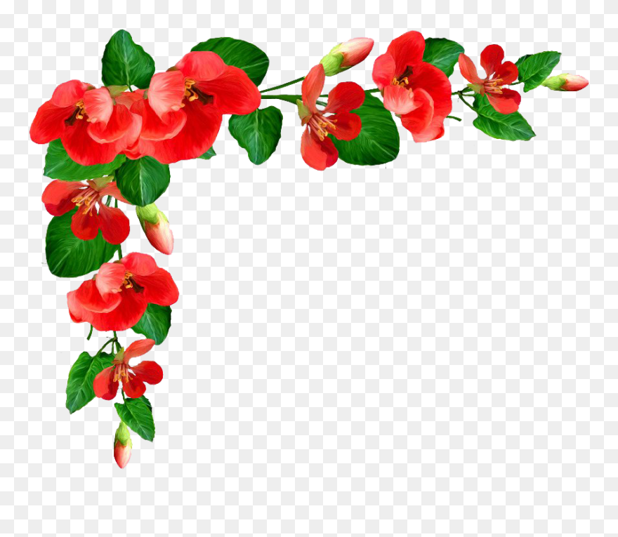 Poppy Flower Frame Png Picture - Bordure Fleur Png Clipart