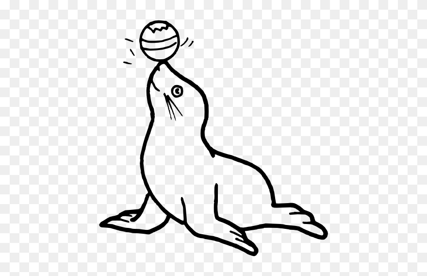 Clip Art Ized Seal Svg - Colouring Pages Of Seal - Png Download