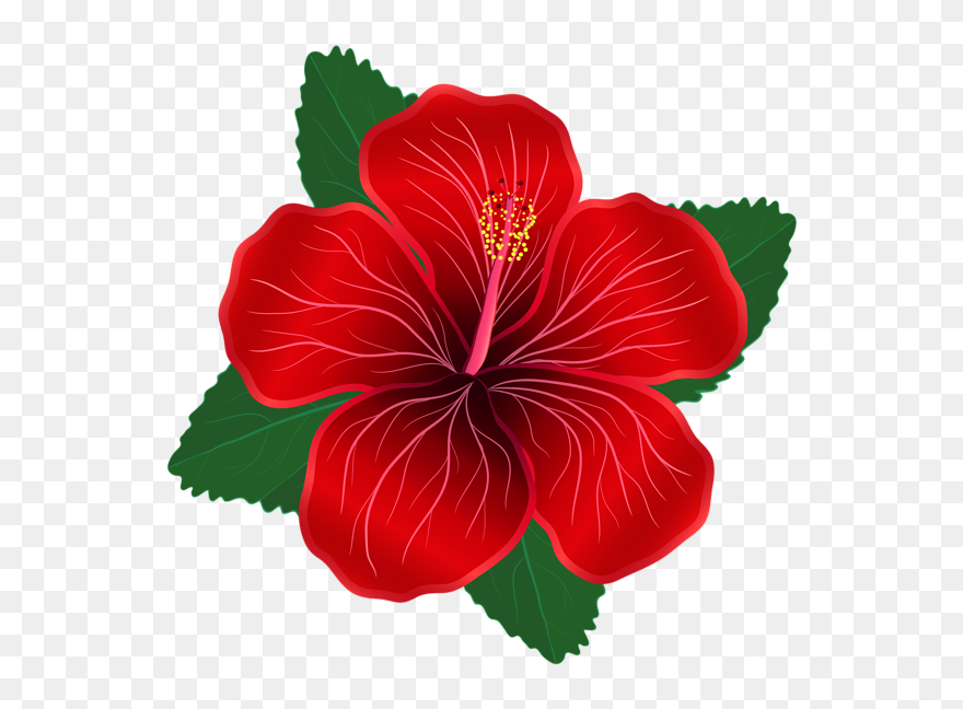 Poppy Flower Clipart Jpg Library Library Red Flower - Red Flower Clipart Png Transparent Png