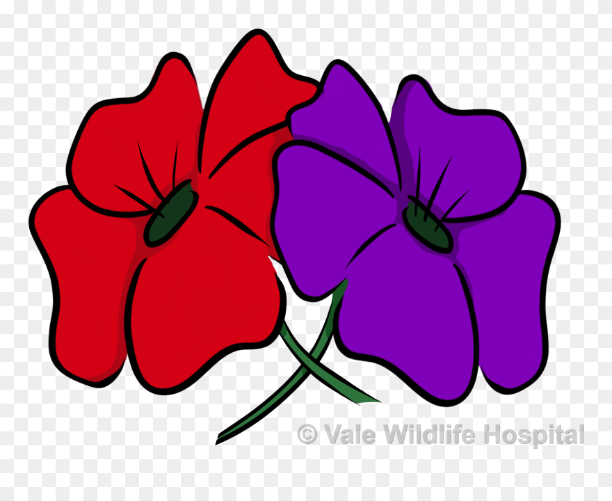 Remembrance Day Purple And Red Poppy Clipart