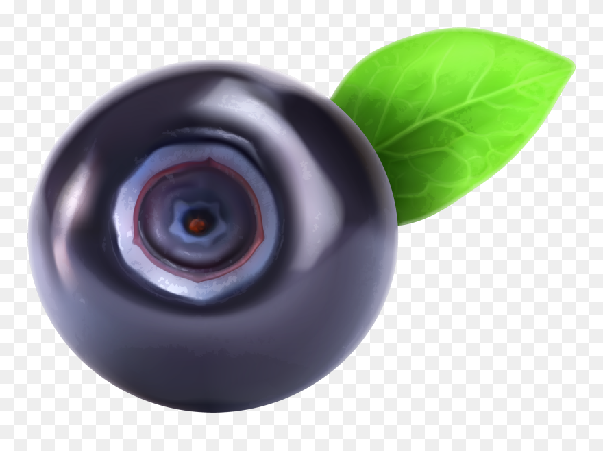 Blueberry Png Clipart - Blueberry Clipart Png Transparent Png