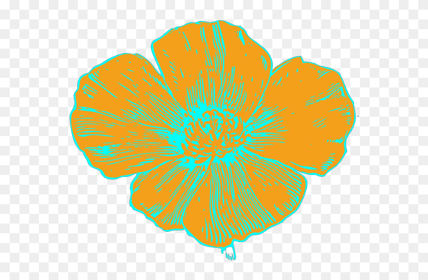 Orange And Blue Poppy Png Images Clipart