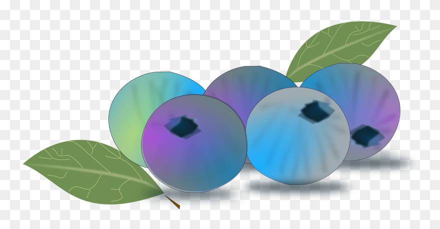 Transparent Blueberry Clipart Png - Blueberry Sticker