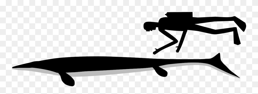 Illustration Clipart