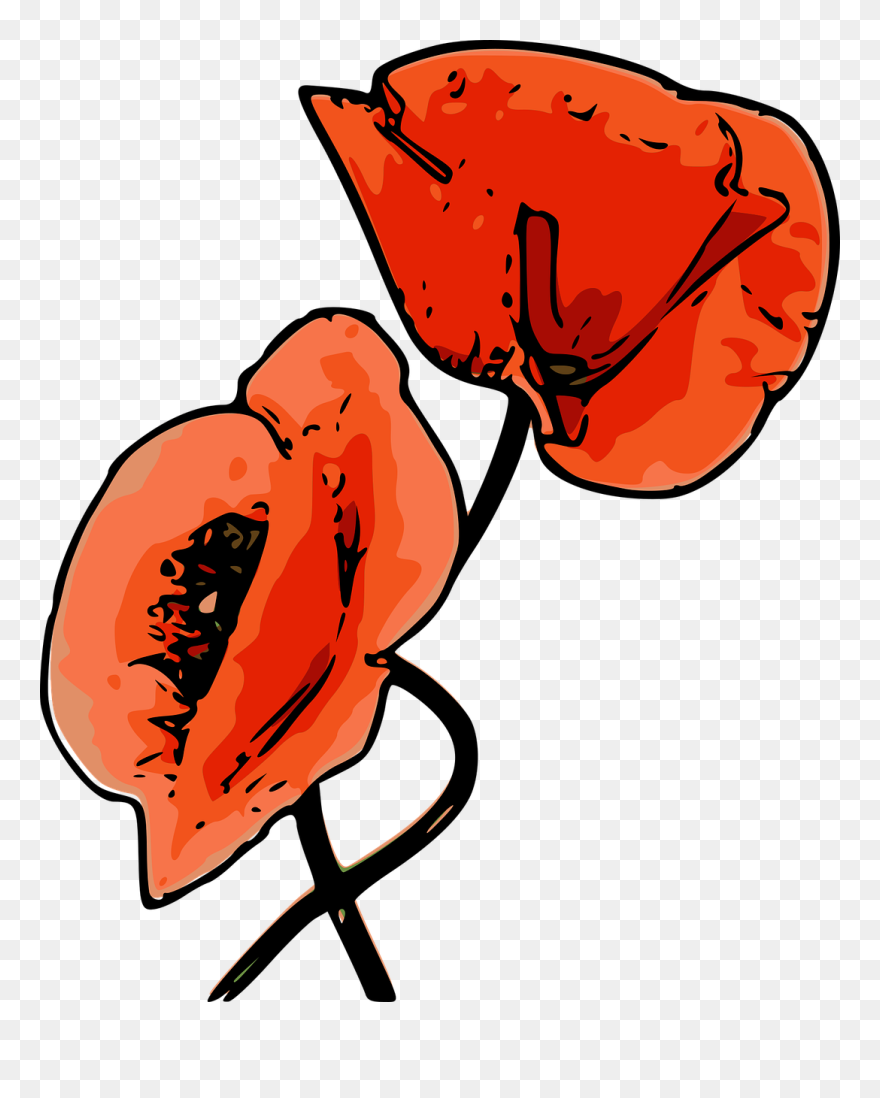 Clip Art - Png Download