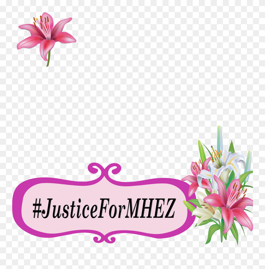 Contribute To Isupportcause - Lily Clipart