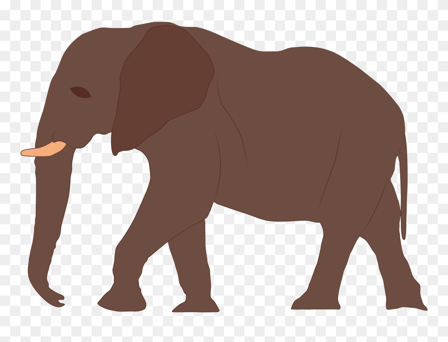 Indian Elephant Clipart