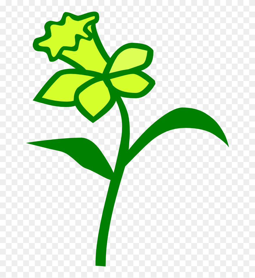 Dafodil Clipart - Png Download