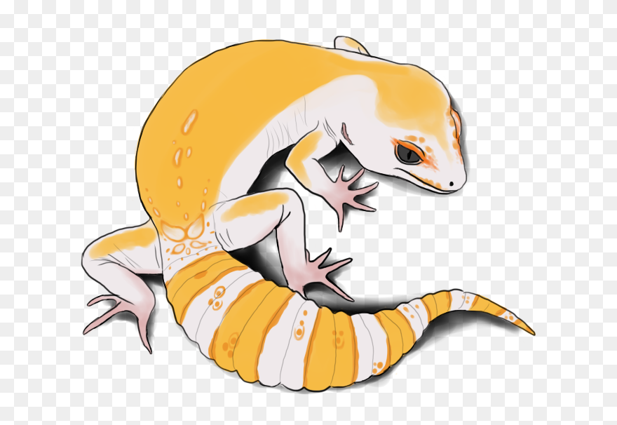Leopard Gecko Clipart Sketch - Leopard Gecko Vector - Png Download