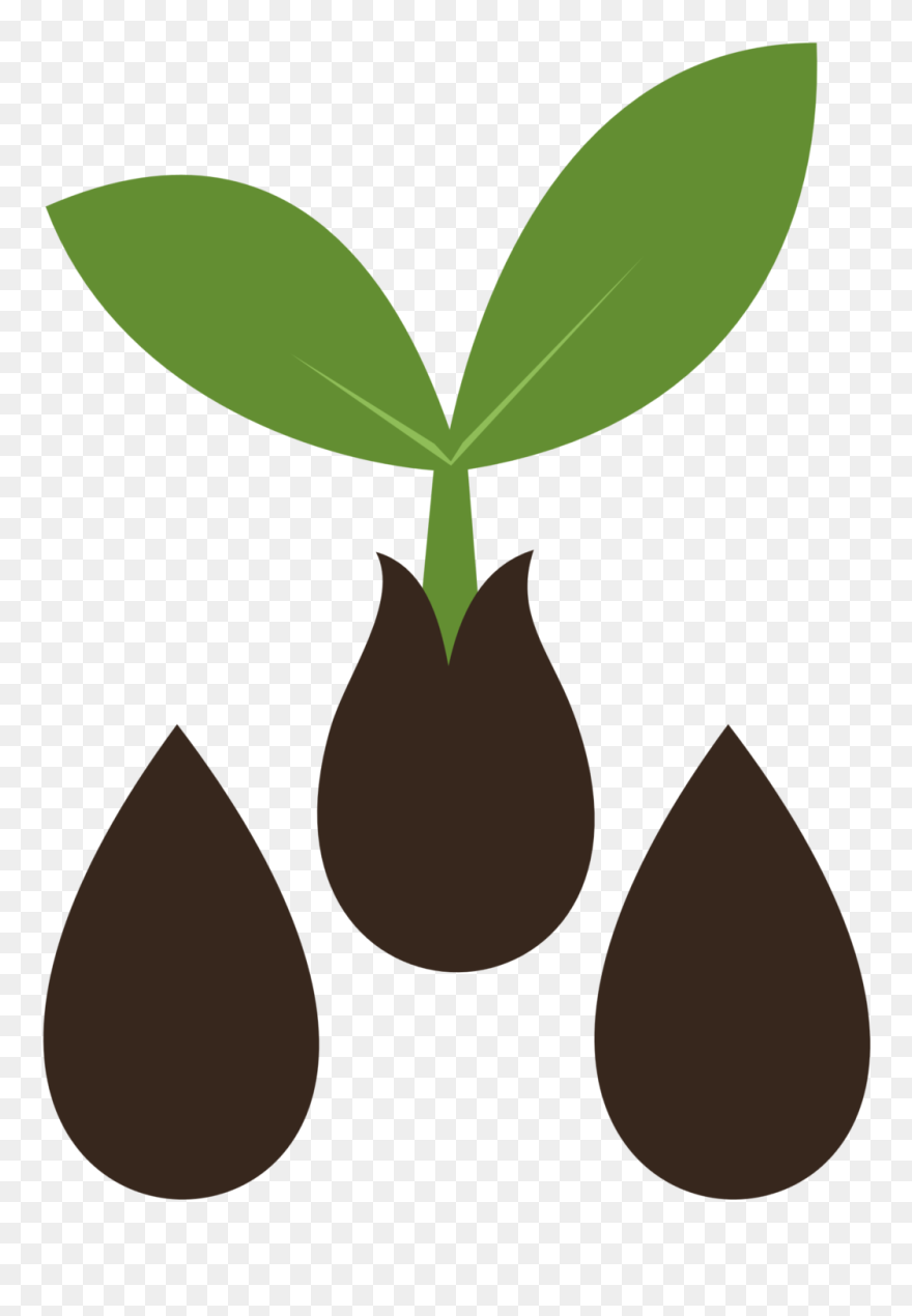 Planting Clipart Vector - Apple Seed Cutie Mark - Png Download