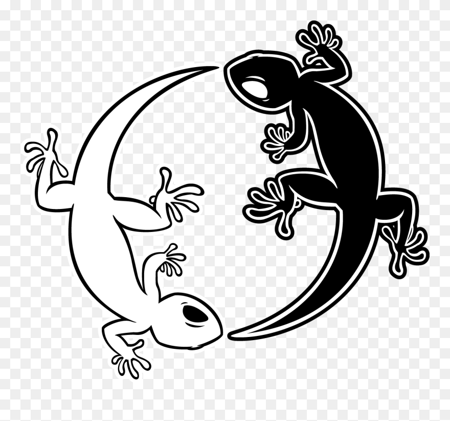 Drawing Gecko Clipart
