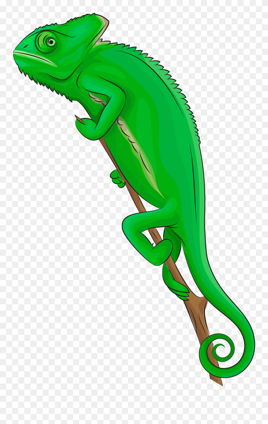 Veiled Chameleon Clipart - Chameleon Clipart - Png Download
