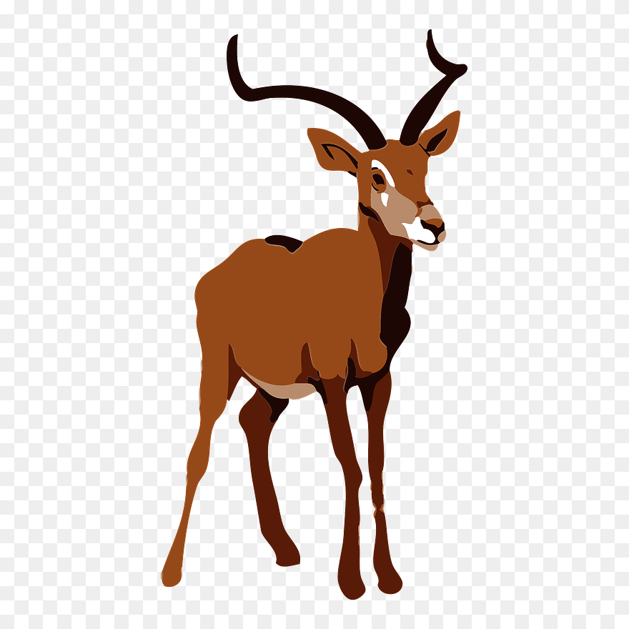 Impala Animal Clipart - Deer - Png Download