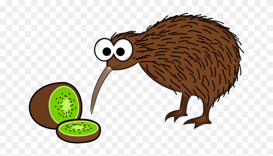 Kiwi Bird - New Zealand Cartoon Kiwi Clipart