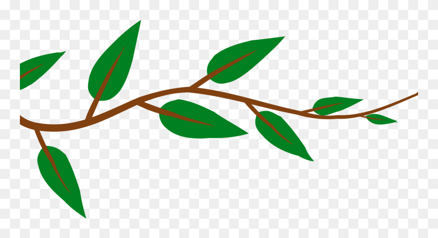Plant,flora,leaf - Transparent Vines Clip Art - Png Download