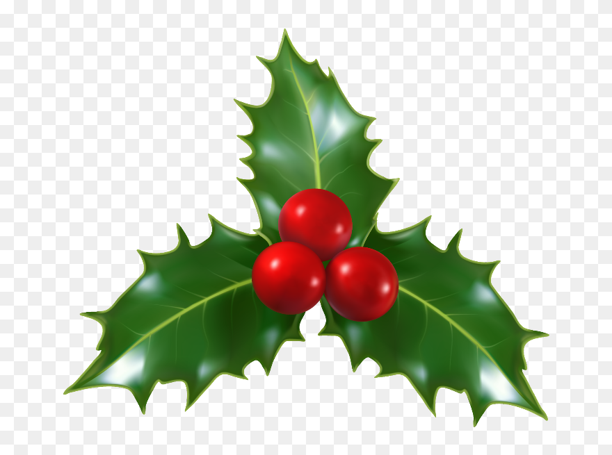 Transparent Holly Berries Png - Transparent Holly Clipart